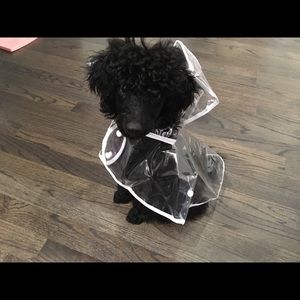 Meet your Posher, Katharine